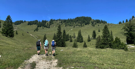 Drei Bergwanderer von hinten auf einem Wanderweg unterwegs zur Rampoldplatte, Mangfallgebirge,...