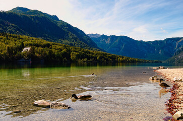 Scenic autumn landscape view of Bohinj Lake (Bohinjsko jezero) with scenic mountain range in the background. Concept of landscape and nature at sunny day. Triglav National Park, Slovenia