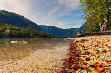 Low-angle view of picturesque Bohinj Lake (Bohinjsko jezero) with scenic mountain range in the background. Concept of landscape and nature at sunny day. Triglav National Park, Slovenia