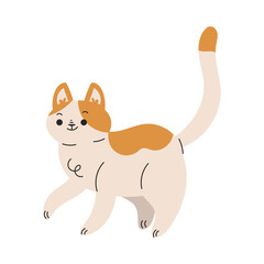 Funny Cat Domestic Pet with Pretty Snout Walking Vector Illustration