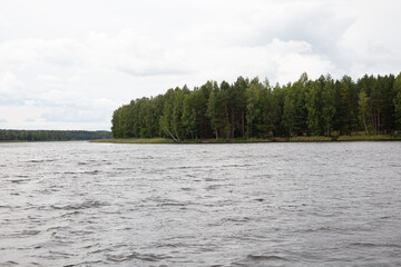 lake and lakeshore covered with forest on a cloudy summer day