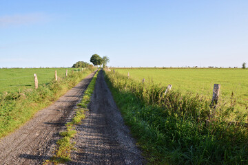 Countryside trail in Ardennes from belgium