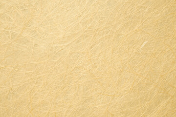 Handmade mulberry paper, texture and background, light brown color.