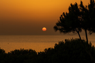 atardecer 