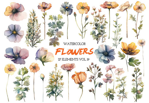 Watercolor painted flowers. Hand drawn flower design elements isolated on white background.