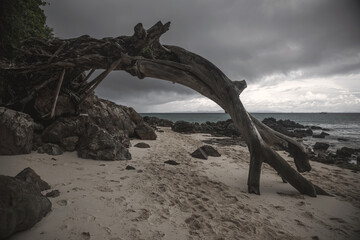 Fototapeta premium Beautiful deserted beach on a cloudy day. The storm is coming. Beautiful colorful water. It's a nasty day.