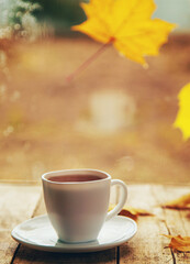 Yellow leaves a cup of autumn tea. Selective focus.