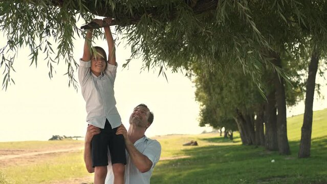 Father helping son climb a tree