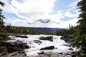 Summer in Athabasca Falls, Jasper National Park, Canada