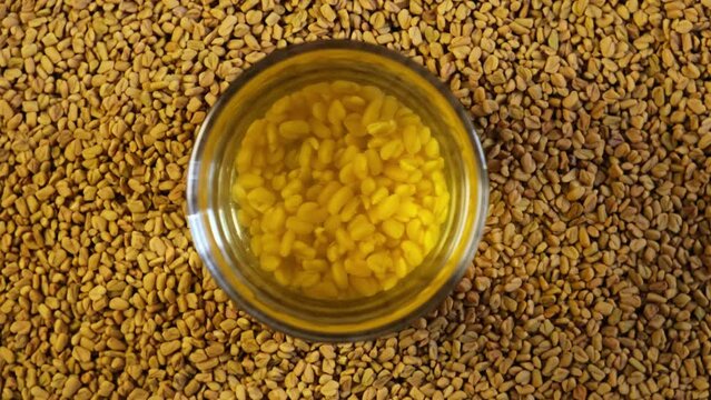 Fenugreek  tea, top view. Egyptian Yellow tea. Herbal tea for busting immune system. Helpful in weight loss, digestion and blood sugar treatment.