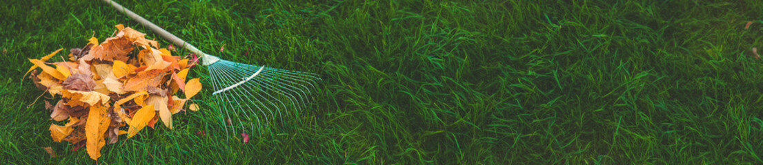 Cleaning the leaves in the autumn park. Selective focus.