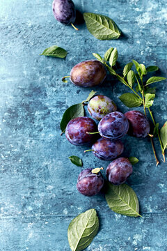 Freshly harvested plums on rustic blue background. Top view. Copy space. Home grown fruits