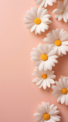 Banner with white daisies on a light pink background. Copy space.