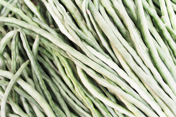 green texture close up of green beans
