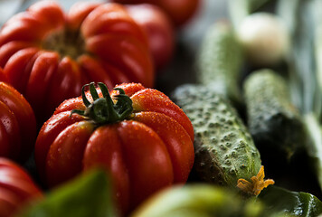 ripe fresh tomatoes and cucumbers of different varieties