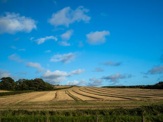 The Farmers field in North Devon countryside near Bideford in North Devon