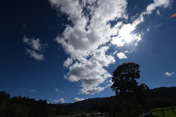 開田高原　白いそばの花と青い空、白い雲
