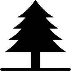 Obraz premium pine