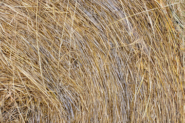 Straw bale background texture for design