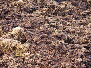 Dark brown fresh cow dung flat surface macro background texture.