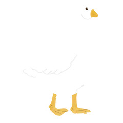 duck 