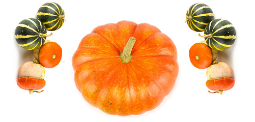 Pumpkins isolated on white . Collage. Wide photo.