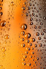 glass brown beer bottle with drops
