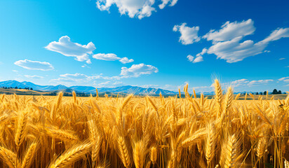 Golden wheat field. AI generated