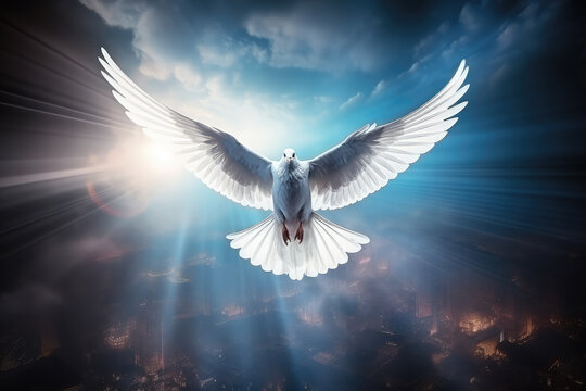 Embracing Tranquility: Symbolic Dove in a World of Peace, Bathed in Gentle Light - Inspiring Hope and Serenity