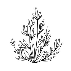 Wild Grass or Plant Icon
