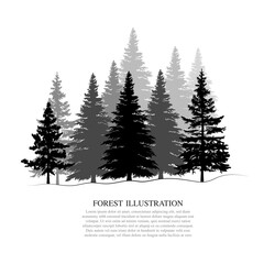 Vector jungle illustration