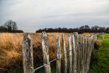 Fototapeta premium A fence to defence