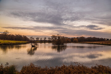 Sunset in Richmond park