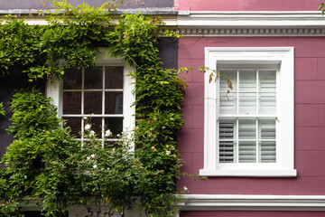 window with shutters and flowers