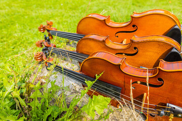 A photography of brown old string musical instruments grouped together on a green grass in the...