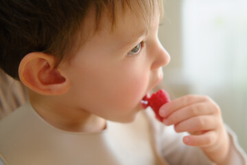 The little baby boy eating raspberry while sitting at the home