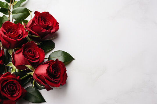 Funeral red roses on white background with copy space 