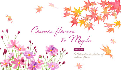 秋のフレームデザイン。紅葉の枝とコスモスと吾亦紅（ワレモコウ）の水彩イラスト。（ベクター。レイアウト変更可能）