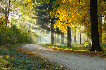 Naklejka premium Autumn Landscape the sunbeams dirty road