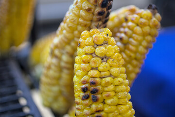 Colombian Cob Street Food Famous Colombian Food called Marozca, Salty Cob