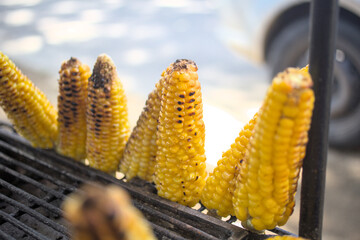 Colombian Cob Street Food Famous Colombian Food called Marozca, Salty Cob