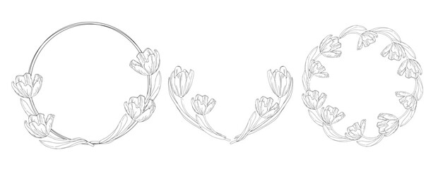 Tulips wreath set for card or invite, coloring pages with spring flower.Tulips black and white wreath line art flower, vector isolated on a white background