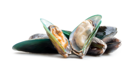 Steamed or cooked food of fresh beautiful green mussels in stack isolated on white background with clipping path and shadow in png file format