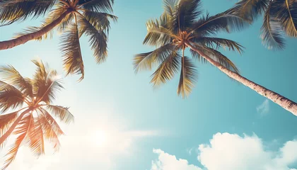 Crédence en verre imprimé Coucher de soleil sur la plage Blue sky and palm trees view from below, vintage style, tropical beach and summer background