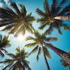 Fototapeten Blue sky and palm trees view from below, vintage style, tropical beach and summer background © Imran