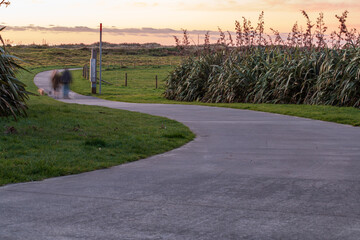 A couple enjoying the setting sun over the coastal dunes while going for an evening walk with their dogs along the Coastal Walkway outside of New Plymouth, New Zealand
