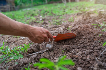 Holding a shovel in hand, scoop up fertile soil. Concept of loving the earth and preserving nature.