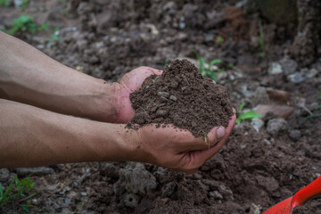 Hand holding fertile black soil. Hands holding good quality soil. Dirty hands with soil. Hand holding soil in agricultural field.