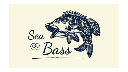 Drawing of sea bass fish jumping with text "sea bass". can be used to logo, label, illustration, clothing, etc.