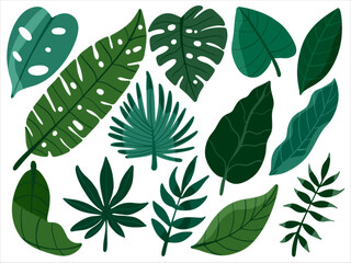 Leaves Set Ilustration Hand Drawing